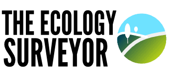 Ecology Surveyor